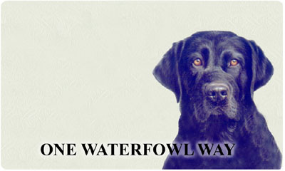 Bacova Black Lab Mailbox