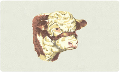 Bacova Hereford Mailbox 