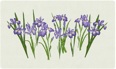 Bacova Iris Mailbox 