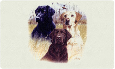 Bacova Lab Trio Mailbox 