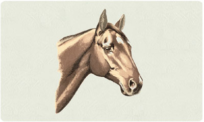 Bacova New Horse Mailbox 
