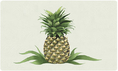 Bacova New Pineapple Mailbox