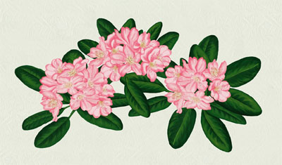 Bacova Rhododendren Mailbox