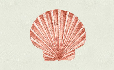 Bacova Shell Mailbox
