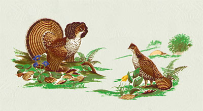 Bacova Wild Grouse Mailbox 