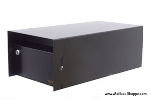 Large Locking Mailbox Insert