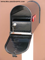 Locking Mailbox Insert