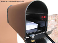 Locking Mailbox Insert