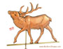 Elk Weathervane